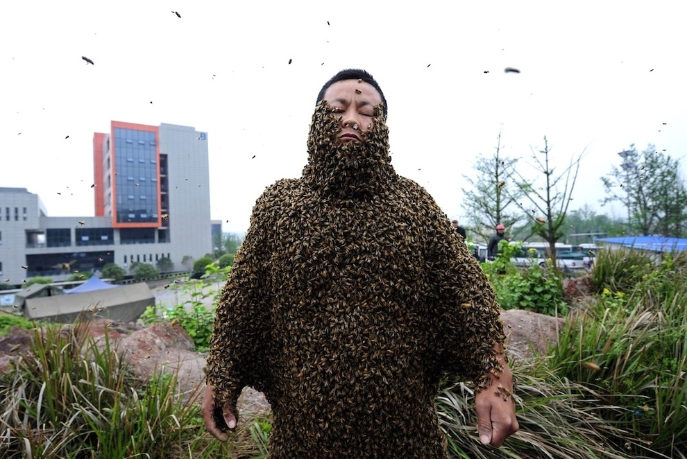 photo-of-the-day-31-000-bees-suit-she-ping-chinese-breaks-world-record.jpg