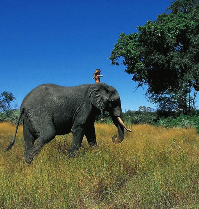 Little Girl Rides Elephant Tippi of Africa
